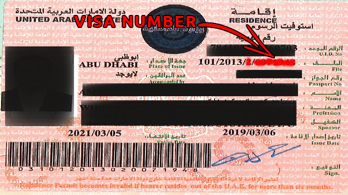 uae visit visa file number