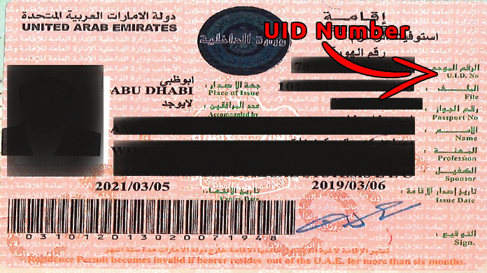 comparison-benefits-b-w-free-zones-and-llc-visa-uae-labours