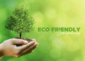 Eco Friendly Companies