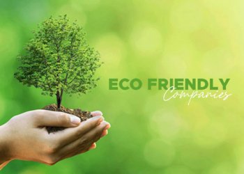 Eco Friendly Companies