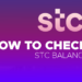 how to check stc balance