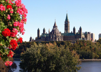 immigration to canada from uae