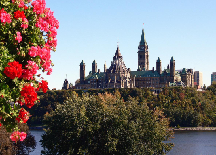 immigration to canada from uae