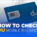 How To Check DU Balance Check Your Balance Easily