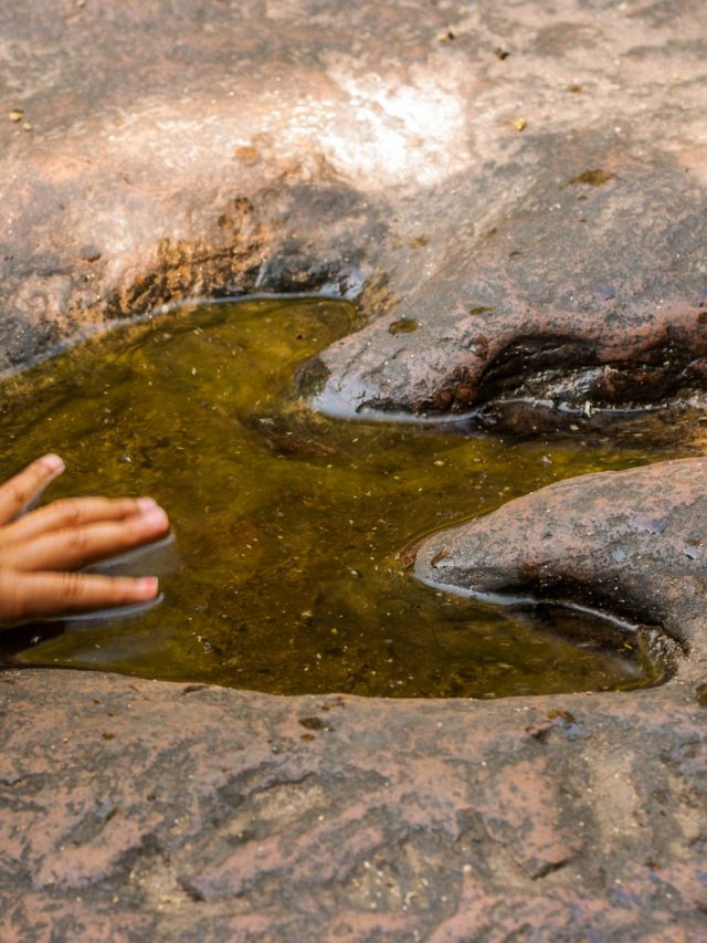 Drought uncovers dinosaur tracks in a US park
