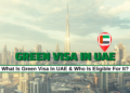 UAE Green Visa