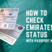 How To Check Emirates ID Status With A Passport Number