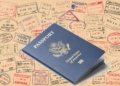 How long does it take to get a passport in us