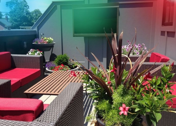 Revamping Your Garden