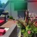 Revamping Your Garden