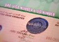 UAE Visa Number UID Number