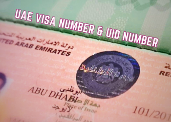UAE Visa Number UID Number