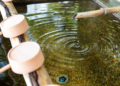Water Purification Technologies