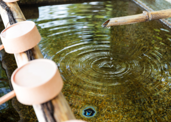 Water Purification Technologies