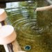 Water Purification Technologies