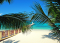 Things to Do in Montego Bay