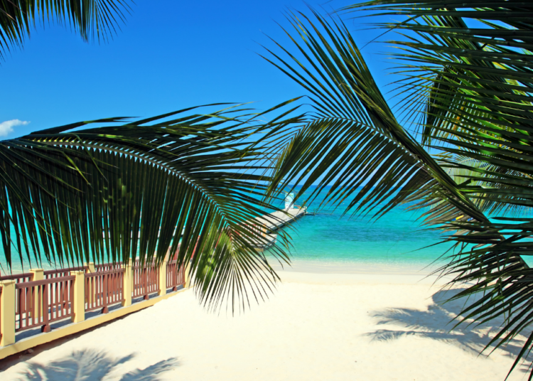 Things to Do in Montego Bay