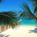 Things to Do in Montego Bay