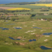 golf courses