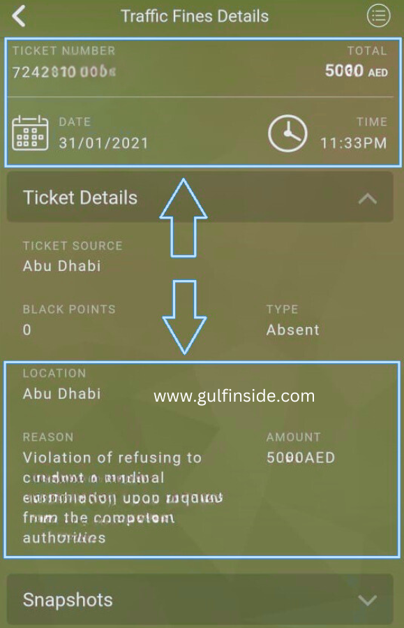 emirates id fine check 