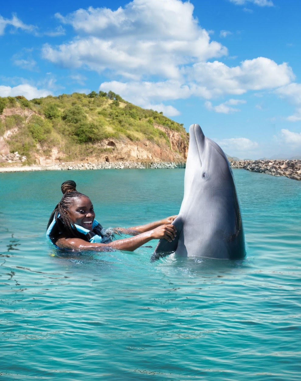 swimming with dolphins in St. Kitts