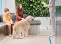 Dog’s Boarding Stay