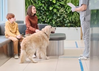 Dog’s Boarding Stay