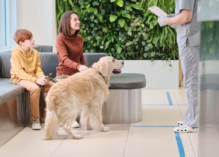 Dog’s Boarding Stay