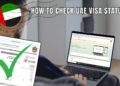 how to check visa status uae by passport number online