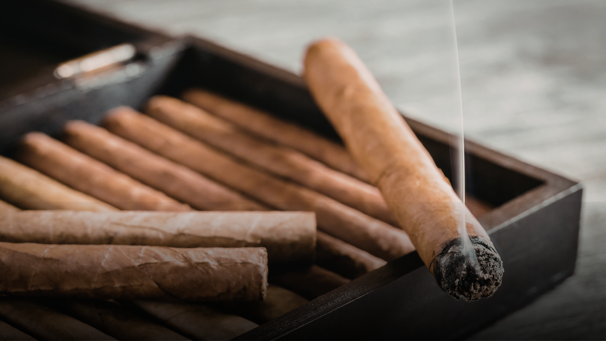 Premium Cigar & Cigarette Guide in the UAE