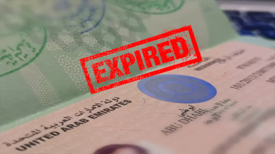 How to renew UAE visa : is your UAE visa expired? And want to apply for a new visa?