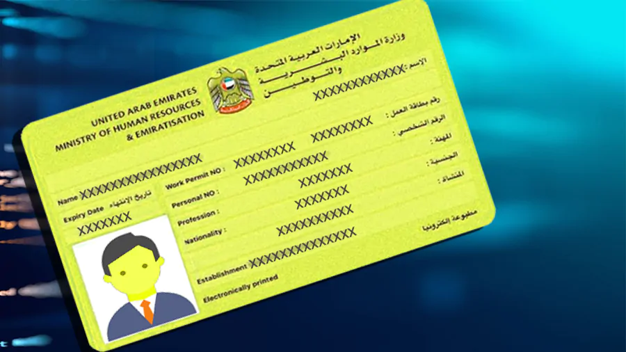 How to Find Person Code UAE