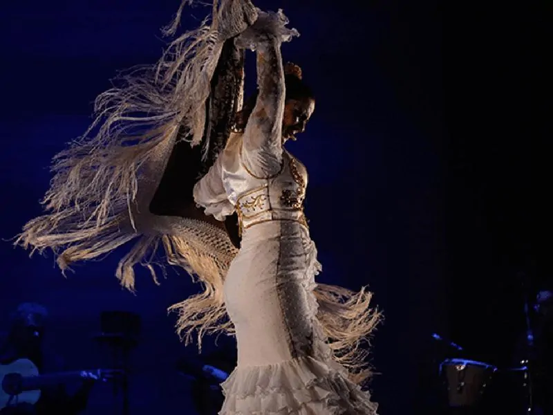 Flamenco Passion