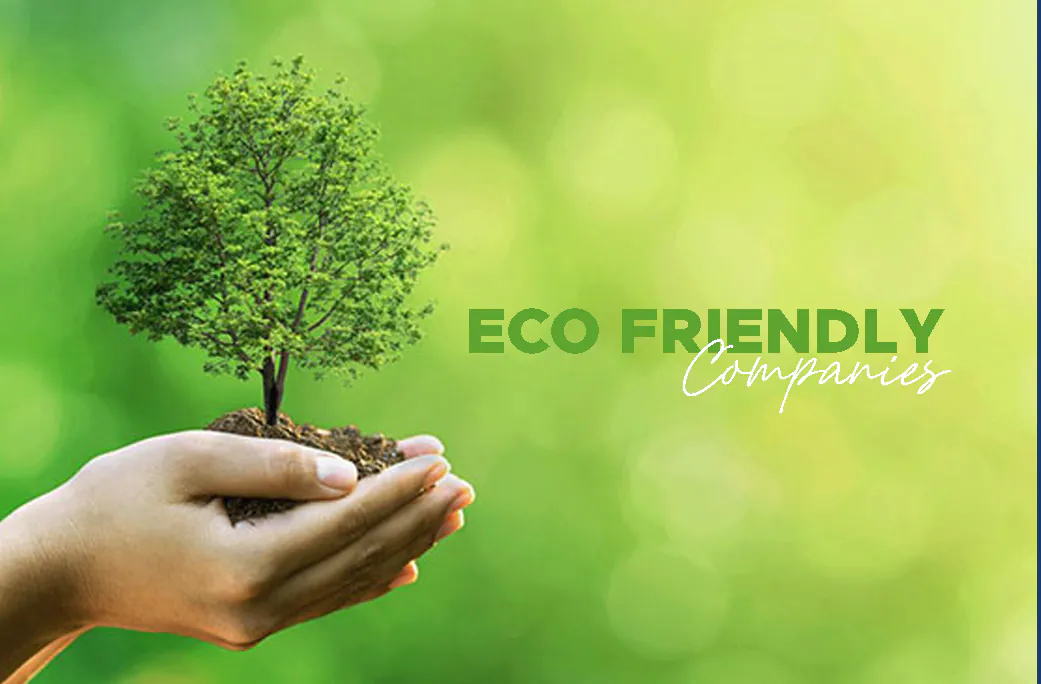 What Sets These 5 Eco Friendly Companies Apart? Read Now What Sets These 5 Eco Friendly Companies Apart? Read Now