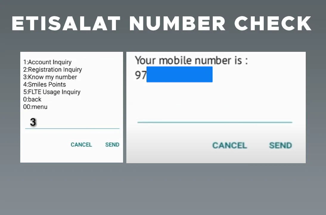 how to check etisalat number owner information