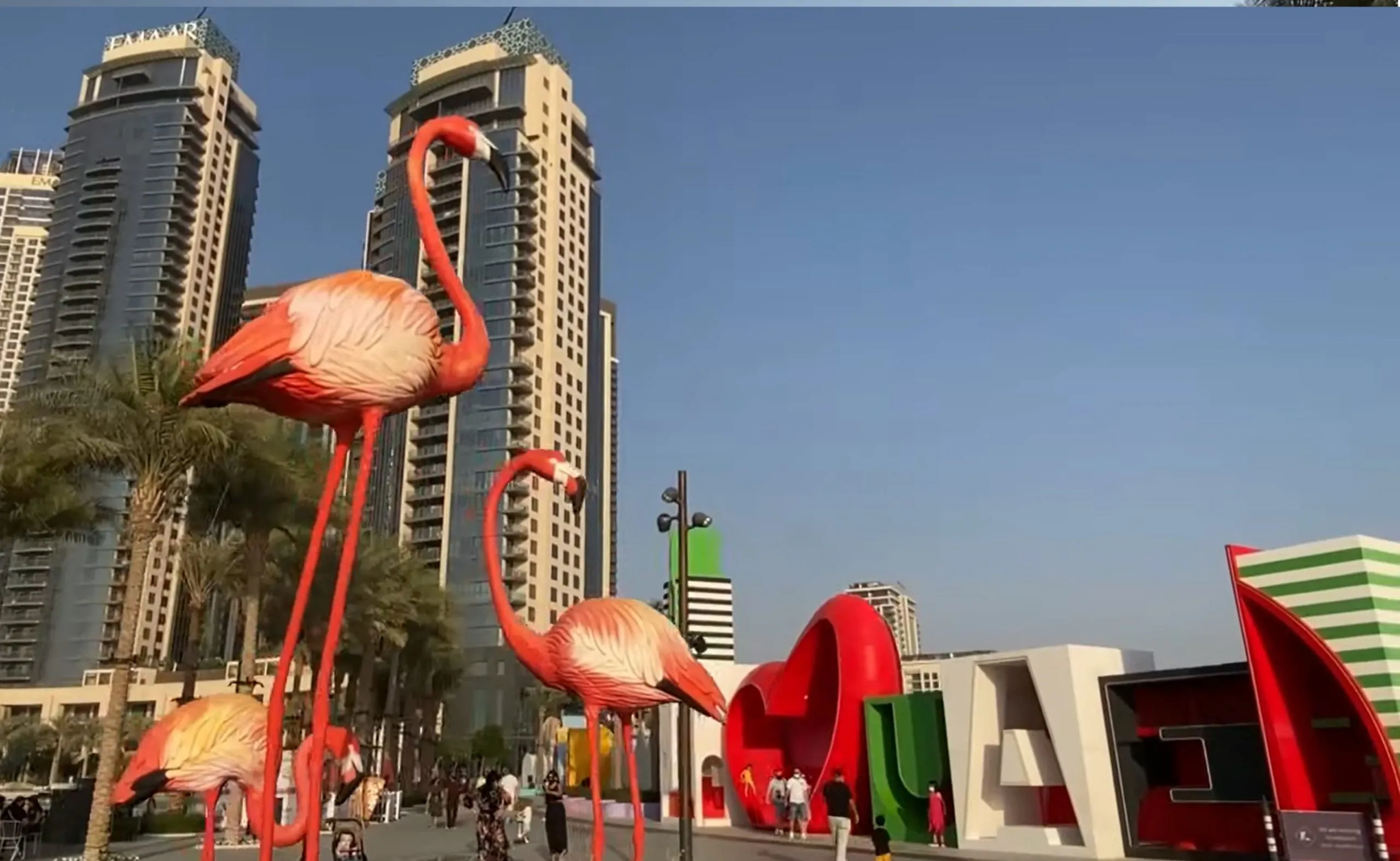 Dubai Flamingo