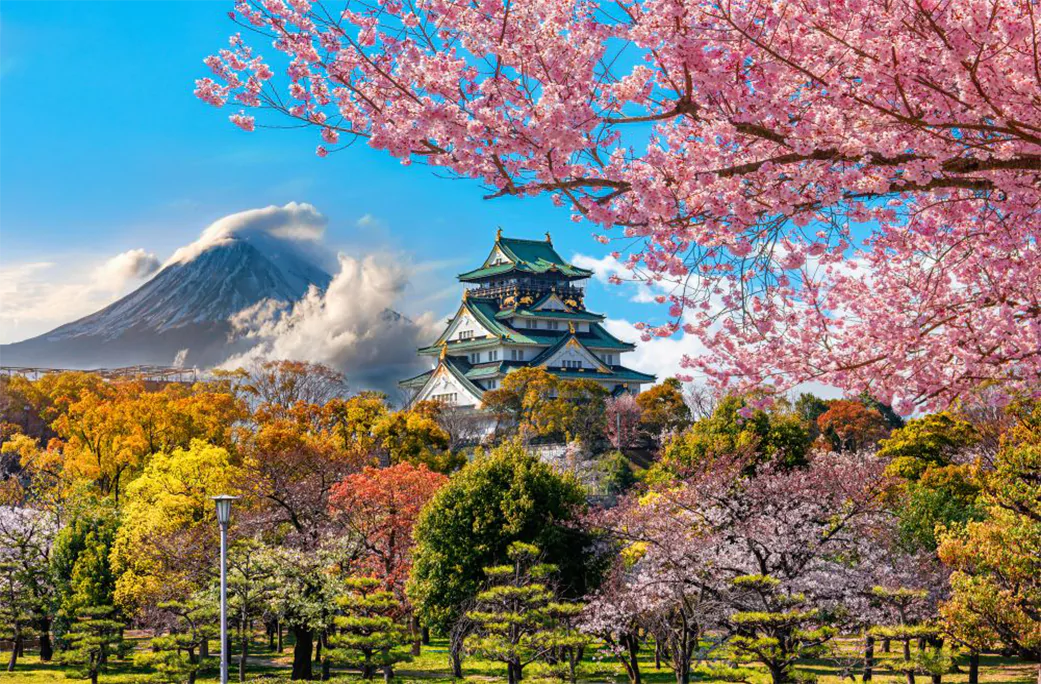 Japan Opens Visa-Free Travel for Emiratis Starting November