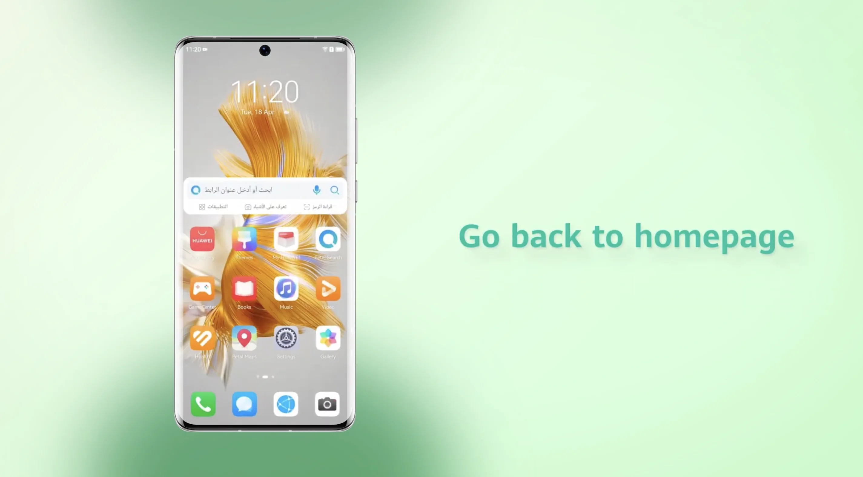 go back to home page