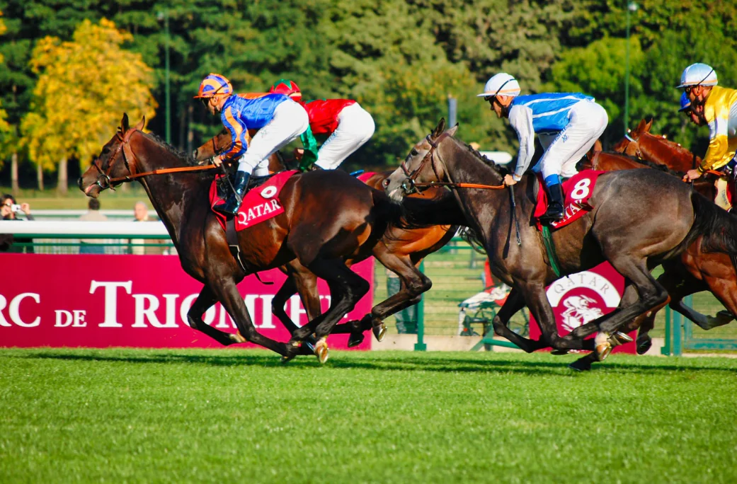 Horse Racing in Dubai 2