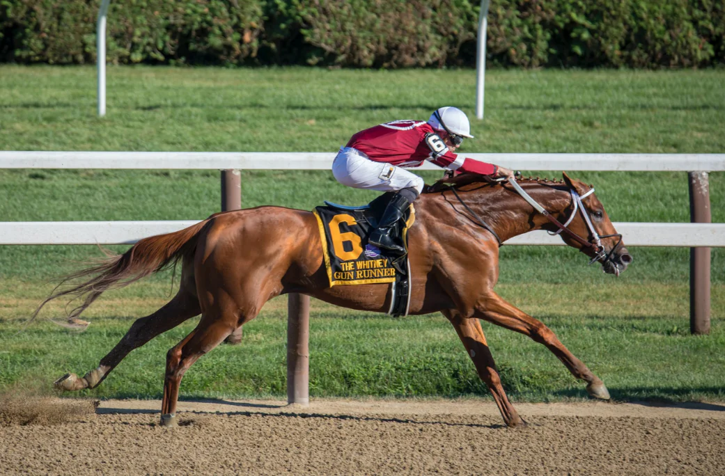 A Guide to Horse Racing in Dubai