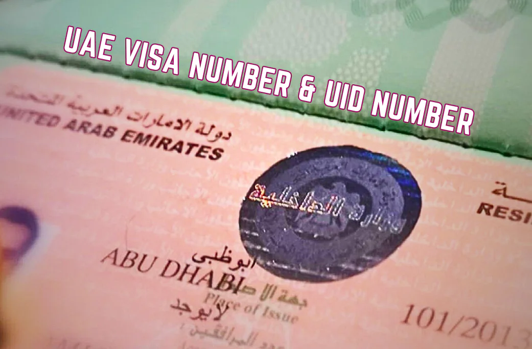 How To Check UAE Visa Number UID Number & File Number