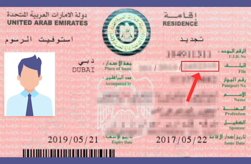 UAE Visa Number