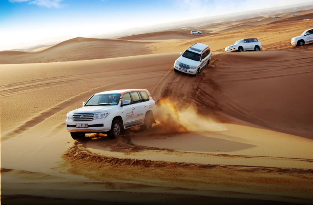  Desert Safari And Dhow Cruise Are The Most Popular Tourist Activities in Dubai